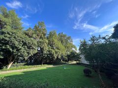 -上海市保健医疗中心