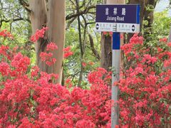 -东莞观音山旅游风景区