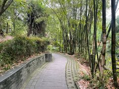 -房湖公园