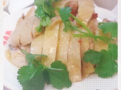 -振鼎鸡(丰庄路店)