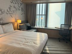 -新加坡实龙岗岛希尔顿花园酒店