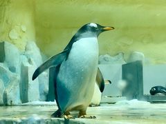 -威海华夏城景区