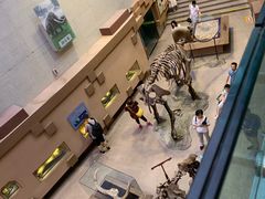 -陕西自然博物馆