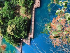-祁门牯牛降观音堂风景区