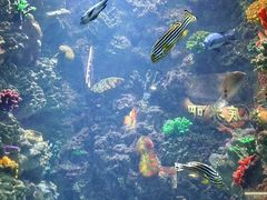 -海合安青岛极地海洋公园