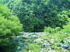 -石台牯牛降景区