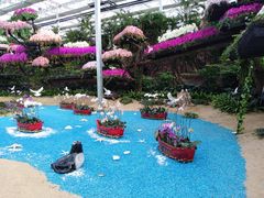 -兰陵国家农业公园