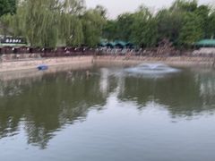 -尚庄度假村·庭台树下·户外烧烤·团建CS·轰趴营地(上庄水库店)