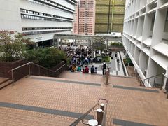 -香港大学