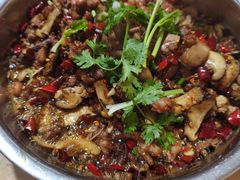 -食神又名厕所兔