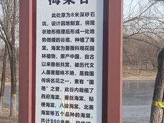 -永定河休闲森林公园