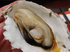 -蚝美人·生蚝海鲜烧烤(茶花园店)