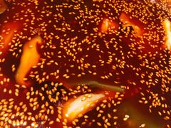 红油味钵钵鸡-叶婆婆钵钵鸡(解放碑店)