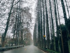 -凤栖山