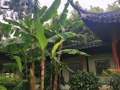 -秋霞圃