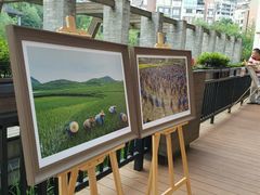 -黔蘑菇四季餐厅(观山湖店)