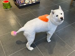 -萌兽医馆·眼科·异宠专科(三里屯店)