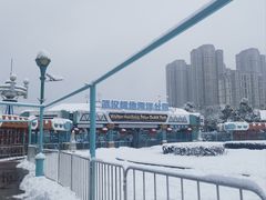 -海合安武汉极地海洋公园