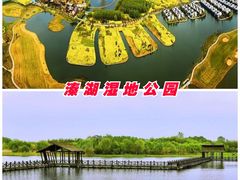 -溱湖国家湿地公园