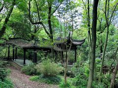 -上海佘山国家森林公园天马山园