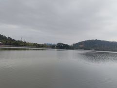 -顺峰山公园
