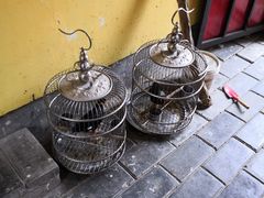 -三岔涧农家乐