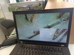 -章光101防脱养发荟