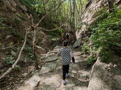 -大岭沟猕猴桃谷风景区