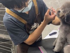 -瑞鹏宠物医院·骨外科·心肾科·肿瘤科(九亭店)