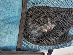 -宠颐生动物医院·心脏科·保险定点(锦阳分院)