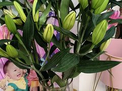 -菲滋意式餐厅(金华银泰城店)