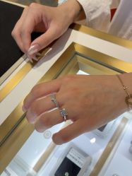 -Cindy Jewelry·钻戒·彩色宝石