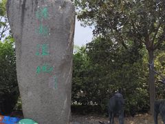 -溱湖国家湿地公园