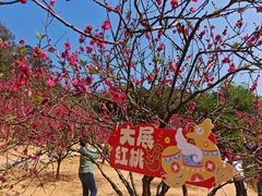 -南国桃园旅游度假区