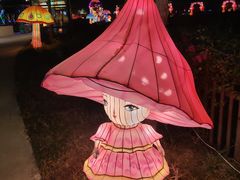 -亚龙湾国际玫瑰谷