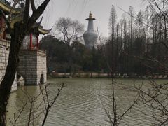-沪小胖小龙虾(淮海中路旗舰店)