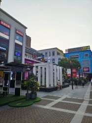 -卡通尼·Safari非洲探索乐园·生日会(金桥国际商业广场店)