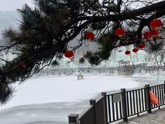 -沂蒙山旅游区云蒙景区(蒙山国家森林公园)
