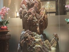 -醉辉皇上海之巅(上海中心大厦店)