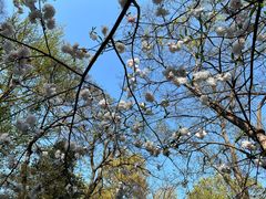 -南山风景名胜区