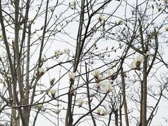 -桤木河湿地公园