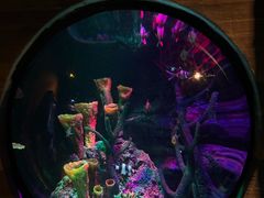 -沈阳海洋探索中心