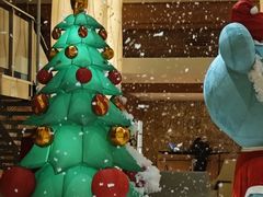 -The Lounge大堂酒廊·咖啡·沙拉·下午茶(金茂深圳JW万豪酒店)