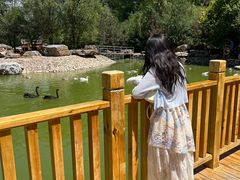 -青藏高原野生动物园