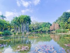 -中国科学院西双版纳热带植物园