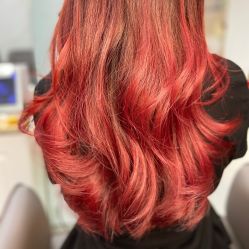 -潘多拉Hairsalon