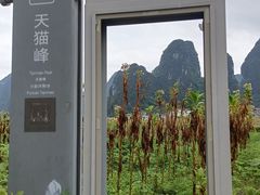 -钟山水墨田园