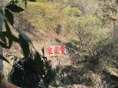 -宁波市保国寺古建筑博物馆