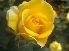 -人民公园(罗湖区)