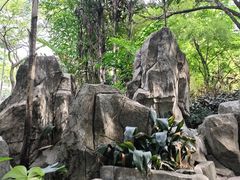 -晓港公园